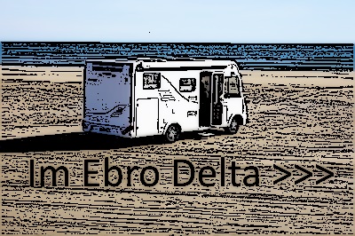 Delta Ebre Link