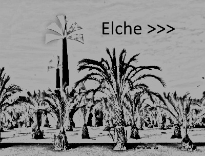 Elche Link
