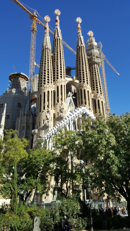 La Sagrada Familia 11 W